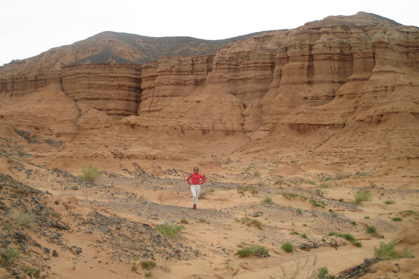 Gobi Altai Combo Tour