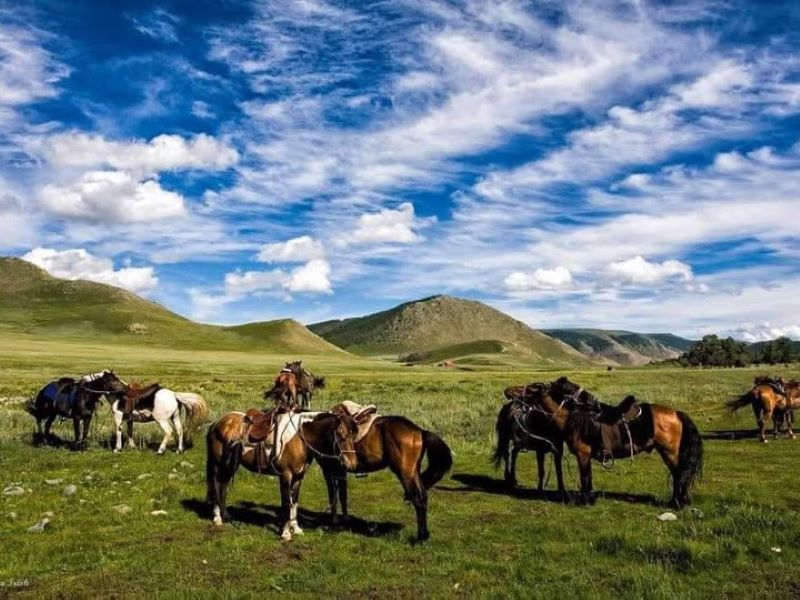 Mongolia gallery 4