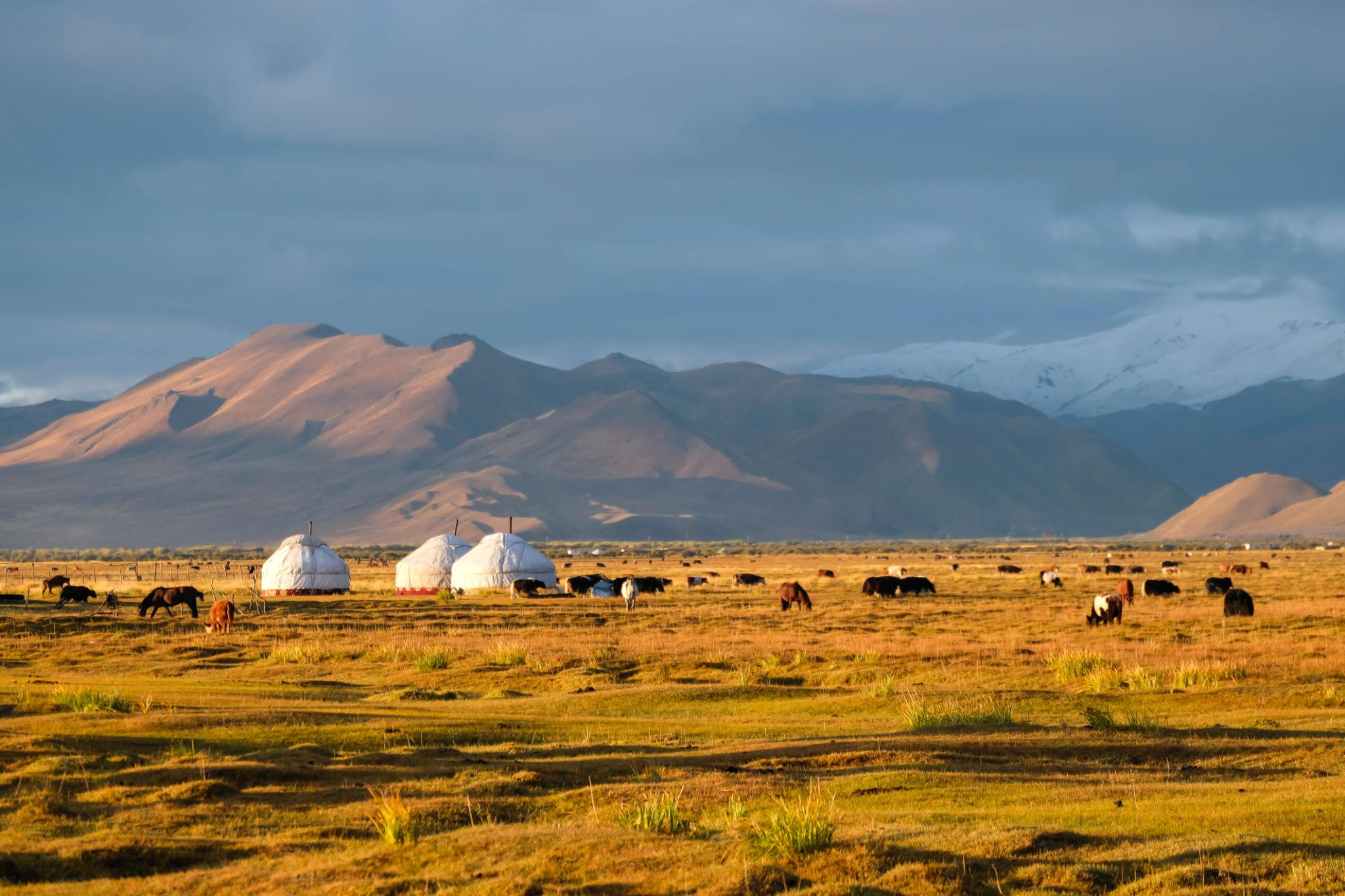 Mongolia Grand Tour